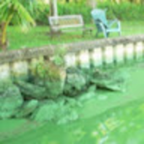 Meet your Posher, Courtney - Picture 1 of 1